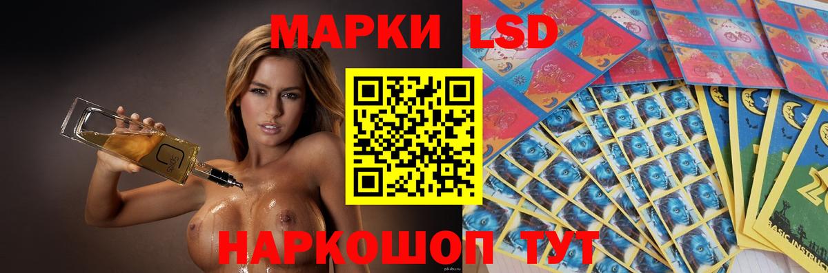Бошки Шишки Кунгур