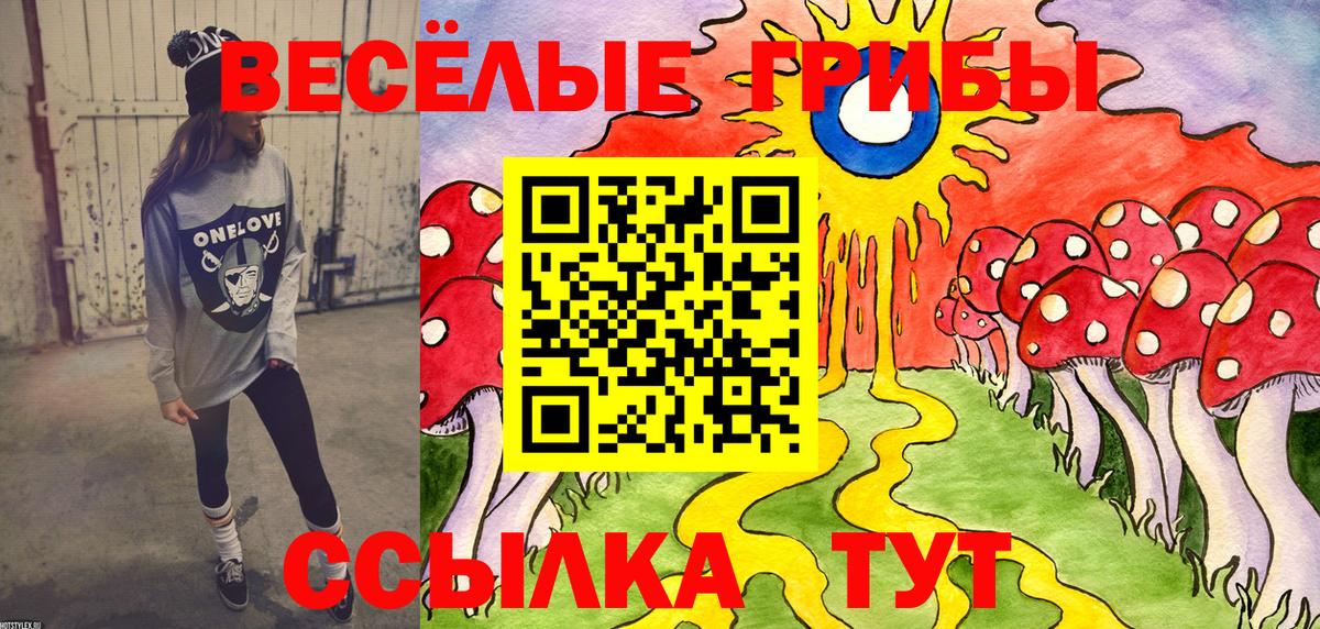 Кунгур  Галлюциногенные грибы GOLDEN TEACHER  Вход с VPN  цены   Псилоцибиновые грибы MAGIC MUSHROOMS 